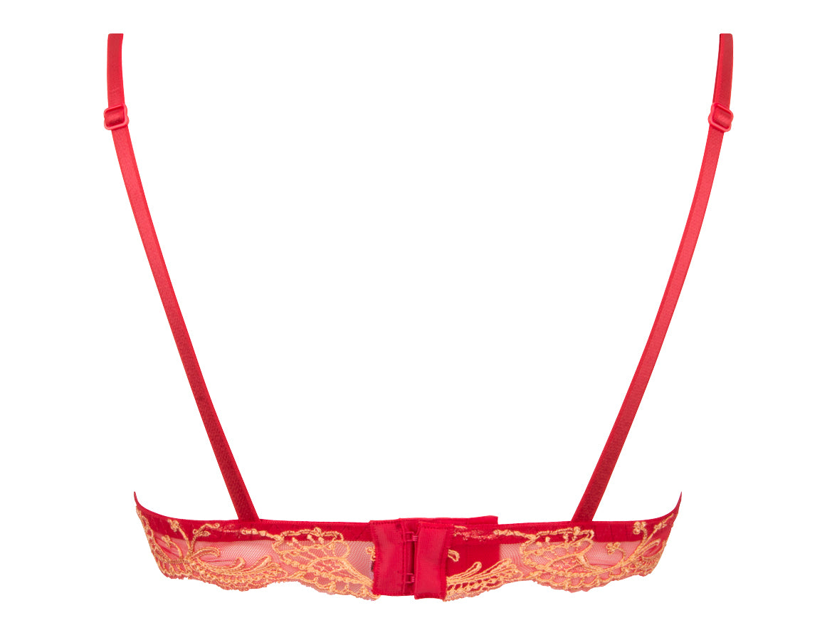 Lise Charmel Splendeur Soie Grenade Non Wired Triangle Bra
